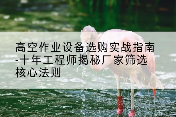 隆阳剪叉式升降机厂家-高空作业设备选购实战指南-十年工程师揭秘厂家筛选核心法则