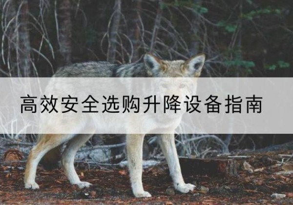 隆阳升降货梯厂家推荐-*安全选购升降设备指南