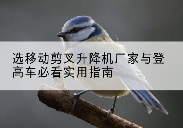 隆阳电动升降机厂家-选移动剪叉升降机厂家与登高车必看实用指南