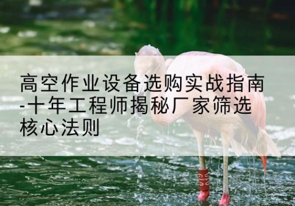 隆阳剪叉式升降机厂家-高空作业设备选购实战指南-十年工程师揭秘厂家筛选核心法则